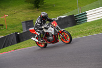 cadwell-no-limits-trackday;cadwell-park;cadwell-park-photographs;cadwell-trackday-photographs;enduro-digital-images;event-digital-images;eventdigitalimages;no-limits-trackdays;peter-wileman-photography;racing-digital-images;trackday-digital-images;trackday-photos